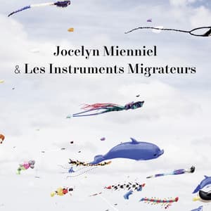 Visuel Spotify de Jocelyn Mienniel.